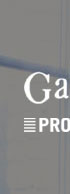 Gazell