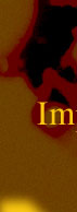 Import CD